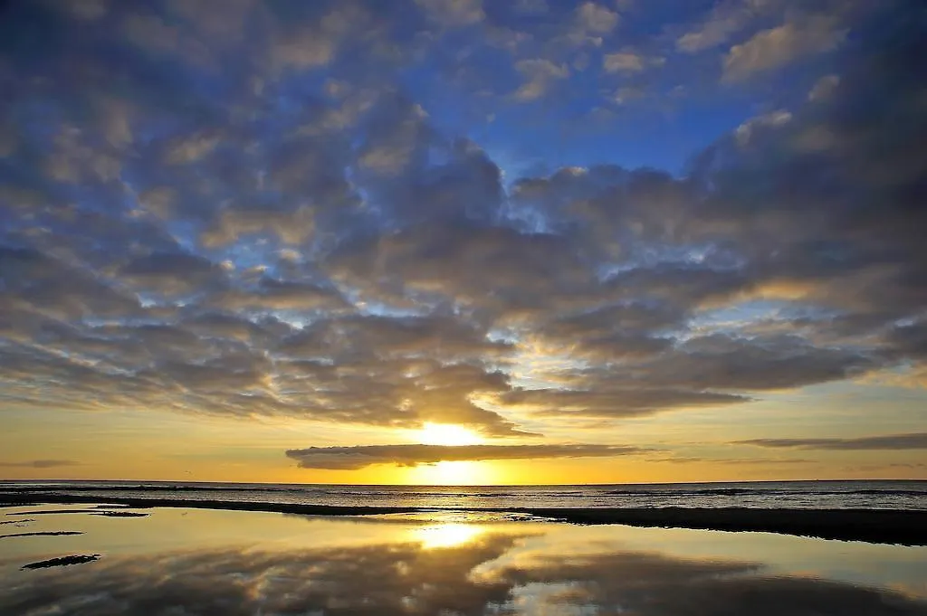 Witte Weelde Texel-1