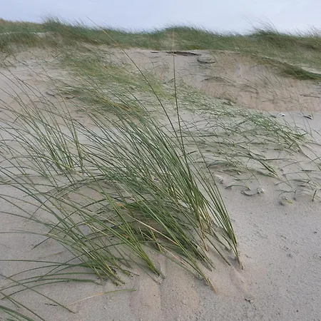 B&B De Sering Texel-2