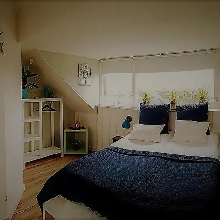 B&B Duinroos De Koog - Texel-3